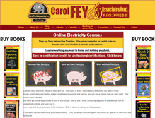 Tablet Screenshot of carolfey.com